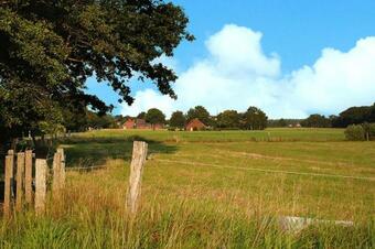 Apartamento Holiday Flat Esens - Dns01277-p