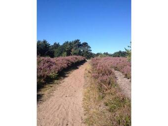 Modernes Ferienhaus Strandgut