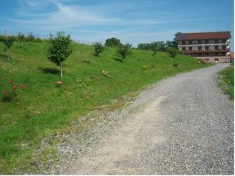 Hostal La Curtea Porumbaceana