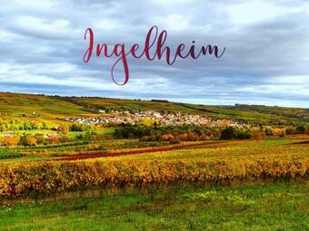 Apartamento Ferienappartment Ingelheim