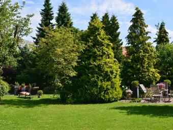 Adorable Apartment In Madfeld With Private Terrace