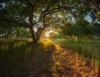 Traumhaff Filmhaus Grossstadtklein Mit Kamin, Sauna, Boot In Rieth Am See