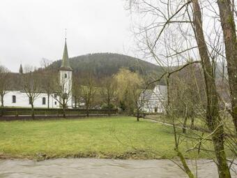 Cosy Holiday Home In Schmallenberg With Garden