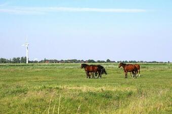 Apartamento Holiday Flats Visquard - Dns01275-dyb