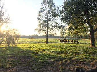 Hof Hilkenborg Am Deich 75099