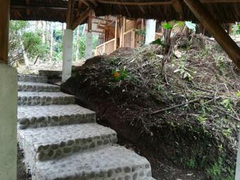 Posada Finca Las Palmas Ecolodge