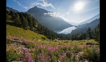 Coll De Nargo Villa Sleeps 14 With Pool