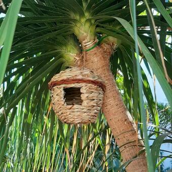 Hostal Finca La Barca