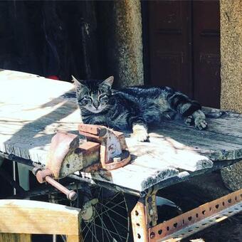 Agroturismo Casa Rural Las Ja�onas