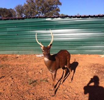 Bed & Breakfast Monte Santa Catarina