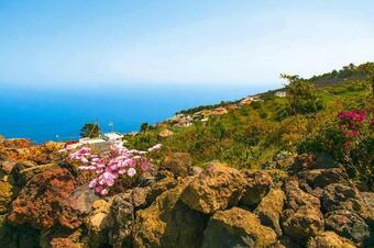 Finca La Hoya El Tanque - Tfn01028-fye