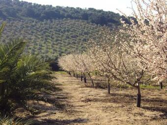 House With One Bedroom In Estepa With Wonderful Mountain View Shared Pool And Furnished Terrace