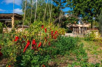 Apartamento Sa Parra De Sa Gruta Vella