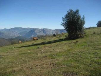 Apartamento Bra�a La Viciella Senda Del Oso