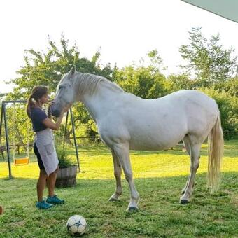 Apartment With One Bedroom In Ardanue With Wonderful Mountain View And Furnished Garden