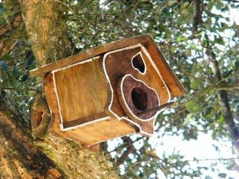 Agroturismo Monte Do Mato Dos Homens