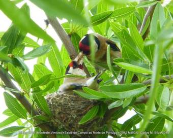 Hotel Rural Sra De Pereiras