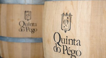 Hotel Rural Quinta Do Pego