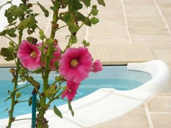 House With One Bedroom In Bussac Foret With Shared Pool Terrace And Wifi