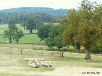 G�te C�rilly, 3 Pi�ces, 4 Personnes - Fr-1-489-200