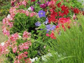 G�te Channay-sur-lathan, 4 Pi�ces, 6 Personnes - Fr-1-381-494