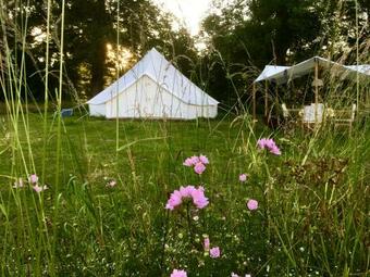 La Toile Sous Les �toiles