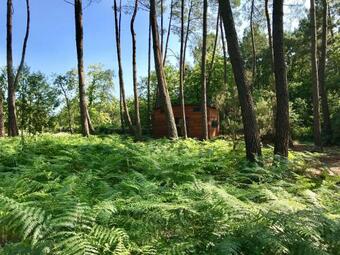 Tiny Stay - Ecolodge