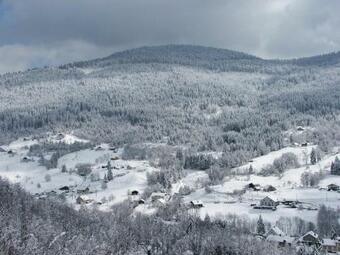 G�te Cornimont, 3 Pi�ces, 4 Personnes - Fr-1-589-20