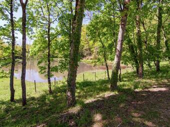 Quaint Holiday Home In �curas With Garden