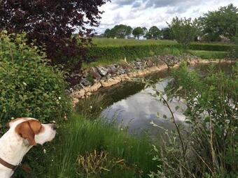 G�te Ermenonville-la-petite, 3 Pi�ces, 5 Personnes - Fr-1-581-70