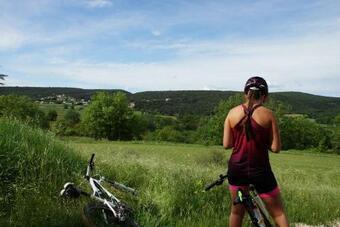 Apartamento Studio-g�te Chauvet III Le Prieur� D'orniols