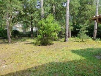 Villa Paloma Pour 8 Personnes