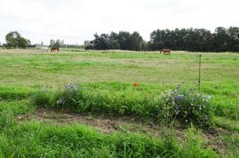 Semi-detached House St- M�loir-des-ondes - Bre01102j-l