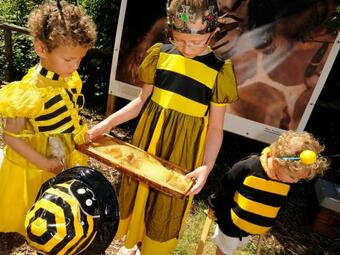 G�te Poiroux, 3 Pi�ces, 4 Personnes - Fr-1-426-188