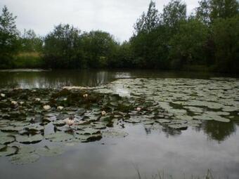 G�te Le Perrier, 3 Pi�ces, 4 Personnes - Fr-1-426-200