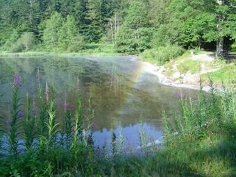 Chalet Le Syndicat, 3 Pi�ces, 6 Personnes - Fr-1-589-91