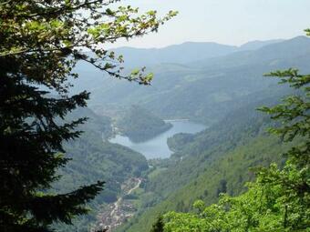 Chalet Le Syndicat, 4 Pi�ces, 6 Personnes - Fr-1-589-188