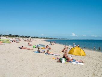 Holiday Home La Maison Aux Ibis - Rhu355