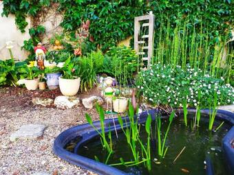 Bed & Breakfast Les Salamandres, Chambres D'h�tes Pr�s De Chambord