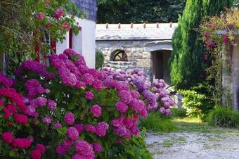 Holiday Home Ploudalm�zeau-portsall - Bre05272-f