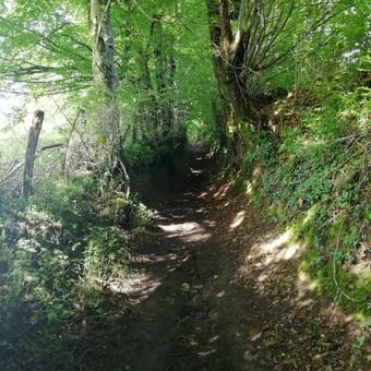 Bed & Breakfast La Cl� Du Maumont