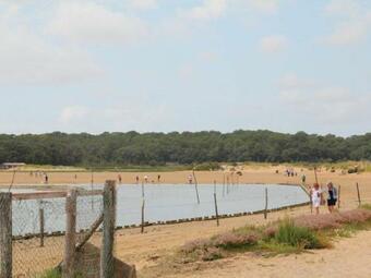 G�te Talmont-saint-hilaire, 2 Pi�ces, 2 Personnes - Fr-1-426-332