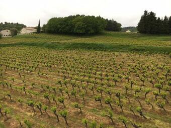 Bed & Breakfast Domaine Forvent