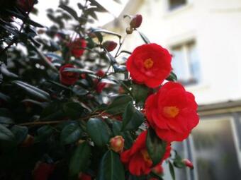 Bed & Breakfast Chambres D'h�tes La Maison Blanche