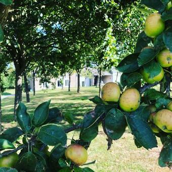 Pear Cottage 2 Bedroom Pool Near Mont St Michel