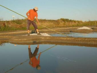 G�te Saint-malo-de-guersac, 2 Pi�ces, 2 Personnes - Fr-1-306-1001