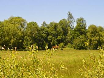 Villa Maison Saint-maur, 3 Pi�ces, 4 Personnes - Fr-1-591-164