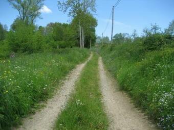 G�te La Tuili�re, 4 Pi�ces, 6 Personnes - Fr-1-496-93