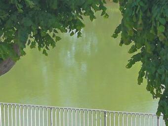 Apartamento Un Balcon Sur La Charente- Saint Savinien