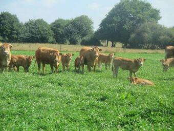 G�te Saint-r�v�rend, 4 Pi�ces, 6 Personnes - Fr-1-426-283